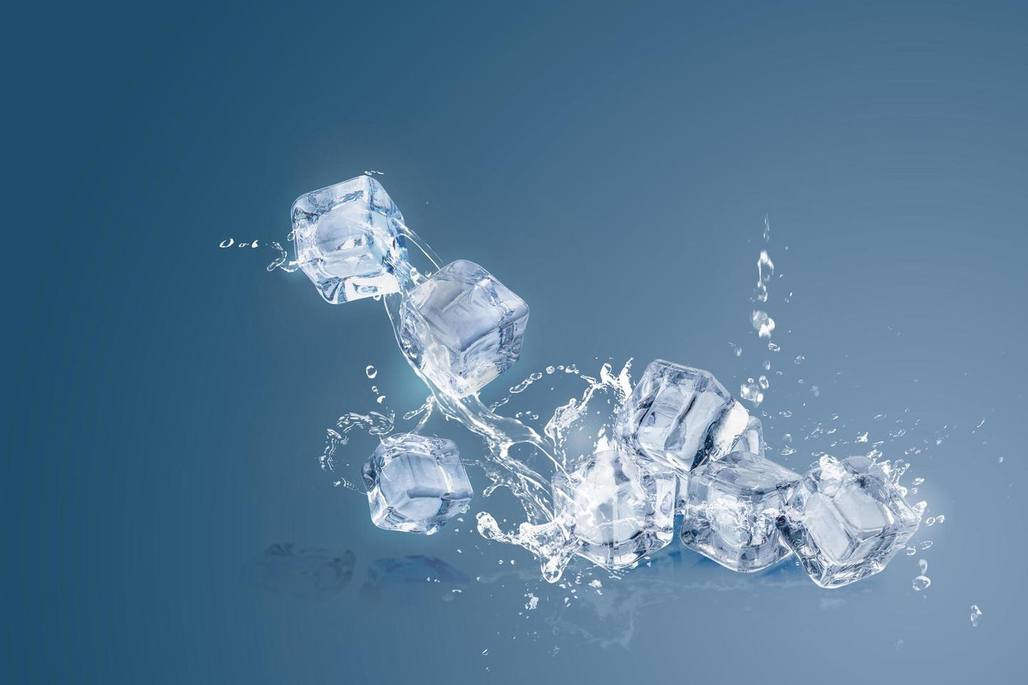 Cold Packs in Insulated Mailer