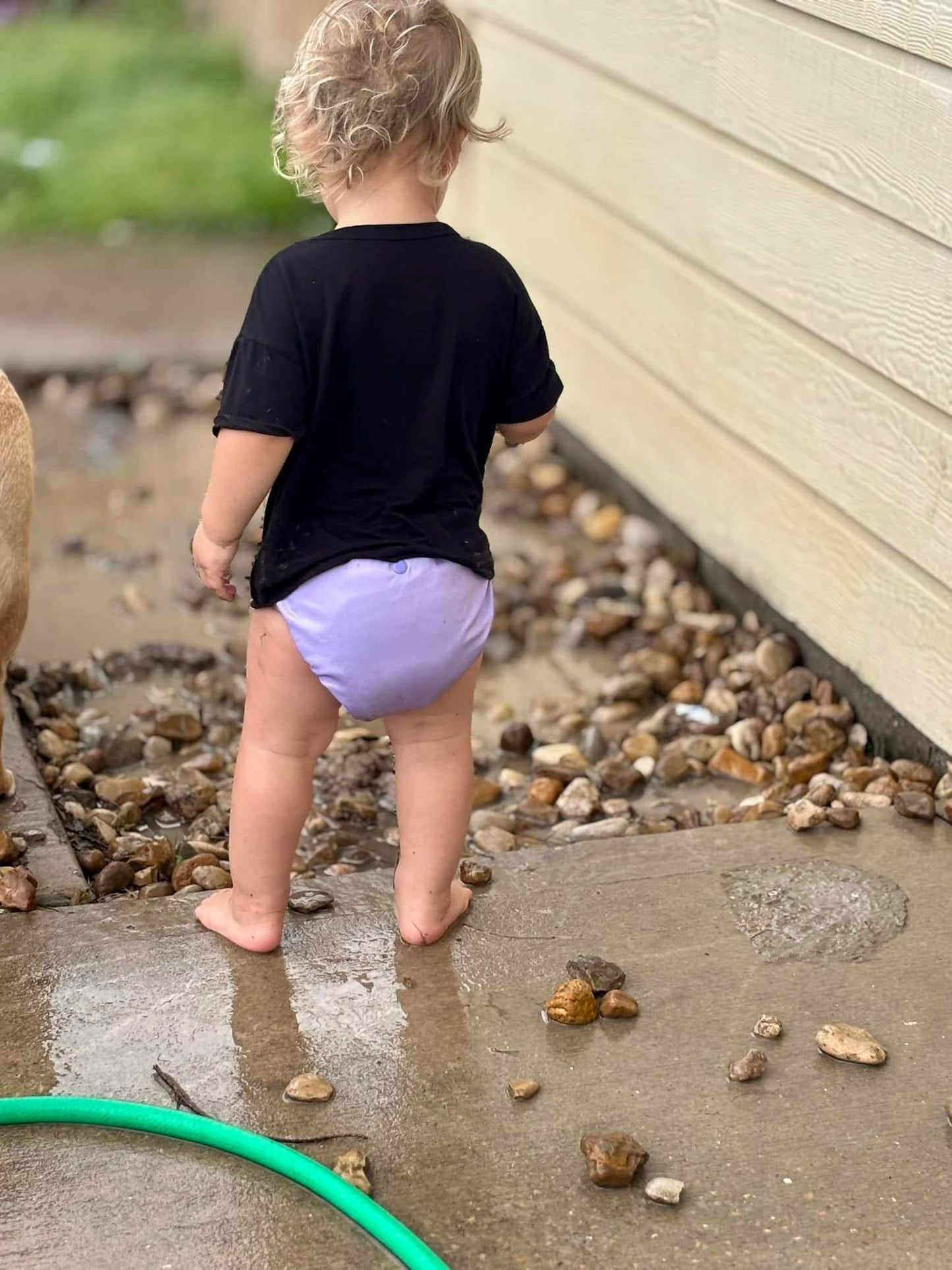 Wisteria |Pocket Cloth Diaper | Athletic Wicking Jersey
